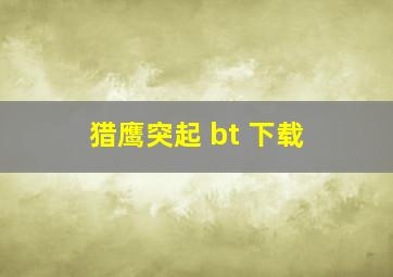 猎鹰突起 bt 下载